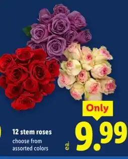 Lidl 12 stem roses offer