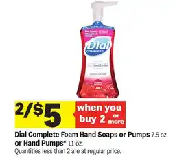 Meijer Dial Complete Foam Hand Soaps or Pumps 7.5 oz. or Hand Pumps* 11 oz offer