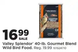 Mills Fleet Farm Valley Splendor Gourmet Blend Wild Bird Food offer
