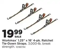 Mills Fleet Farm Workmax ratchet tie-down straps offer