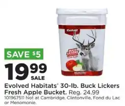 Mills Fleet Farm Evolved Habitats Buck Lickers Fresh Apple Bucket offer