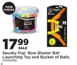 Mills Fleet Farm Spunky Pup Bow Blaster Ball Launching Toy and Bucket of Balls offer