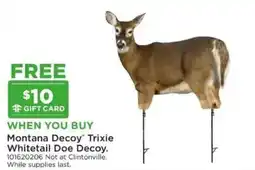 Mills Fleet Farm Montana Decoy Trixie Whitetail Doe Decoy offer
