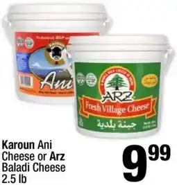 Super King Markets Karoun Ani Cheese or Arz Baladi Cheese offer