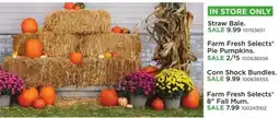 Mills Fleet Farm Farm Fresh Selects Pie Pumpkins offer