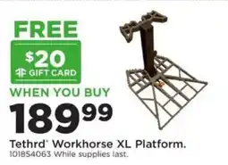 Mills Fleet Farm Tethrd Workhorse XL Platform offer