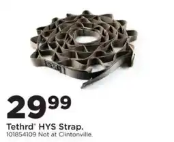 Mills Fleet Farm Tethrd HYS Strap offer