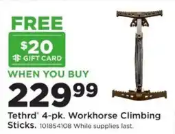 Mills Fleet Farm Tethrd 4-pk. Workhorse Climbing Sticks offer