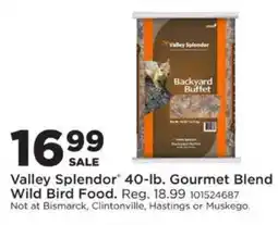 Mills Fleet Farm Valley Splendor Backyard Buffet Wild Bird Food offer