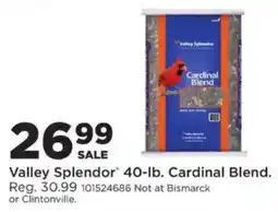 Mills Fleet Farm Valley Splendor cardinal blend offer