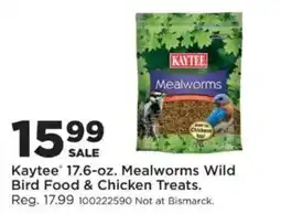 Mills Fleet Farm Kaytee Mealworms Wild Bird Food & Chicken Treats offer