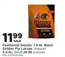Mills Fleet Farm Feathered Snacks Black Soldier Fly Larvae offer