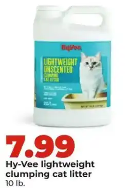 Hy-Vee Hy-Vee lightweight clumping cat litter offer