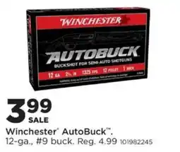 Mills Fleet Farm Winchester AutoBuck offer