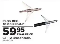 Mills Fleet Farm G5 T2 Broadheads offer
