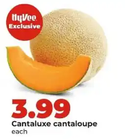 Hy-Vee HyVee exclusive cantaluxe cantaloupe offer