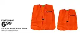 Mills Fleet Farm Hme adult or youth blaze vests offer