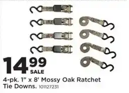 Mills Fleet Farm Mossy Oak Ratchet Tie Downs offer