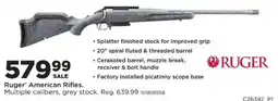 Mills Fleet Farm Ruger American Rifles offer