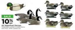 Mills Fleet Farm All Waterfowl Decoys offer