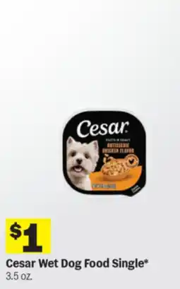 Meijer Cesar wet dog food single offer