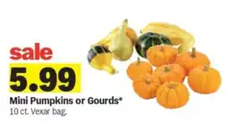 Meijer Mini Pumpkins or Gourds offer