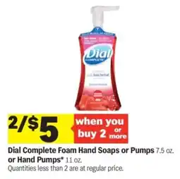 Meijer Dial Complete Foam Hand Soaps or Pumps offer