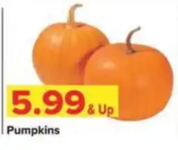 Shop 'n Save Pumpkins offer