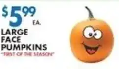 Associated Large Face Pumpkins offer