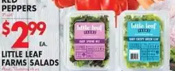 Associated Little Leaf Farms Salads offer