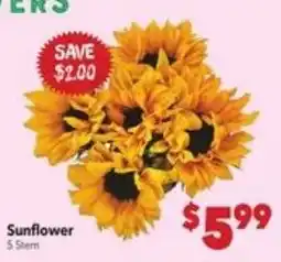 Vallarta Supermarkets Sunflower offer
