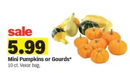 Meijer Mini Pumpkins or Gourds offer
