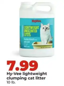 Hy-Vee Hy-Vee lightweight clumping cat litter offer