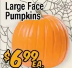 Western Beef Large Face Pumpkins offer
