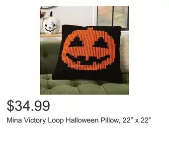 Costco Mina Victory Loop Halloween Pillow, 22 x 22 offer