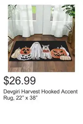 Costco Devgiri Harvest Hooked Accent Rug, 22 x 38 offer