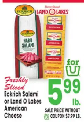 Jewel-Osco Eckrich Salami or Land O Lakes American Cheese offer
