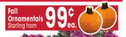 Jewel-Osco Fall Ornamentals offer