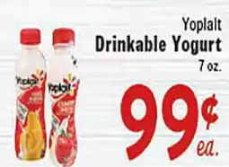 Rio Valley Market Yoplait Drinkable Yogurt offer