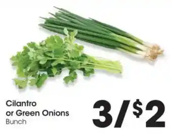 Cilantro or Green Onions