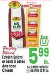Jewel-Osco Land O Lakes American Cheese offer