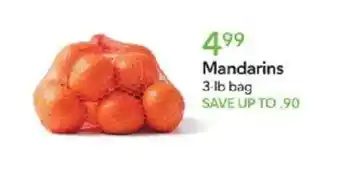 Publix Mandarins offer