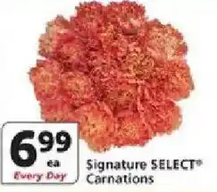 Vons Signature Select Carnations offer