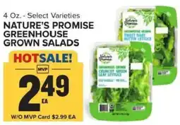 Food Lion Nature's Promise greenhouse grown salads offer
