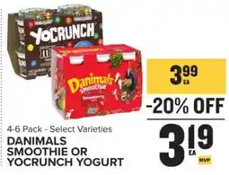 Food Lion Danimals Smoothie or Yocrunch Yogurt offer
