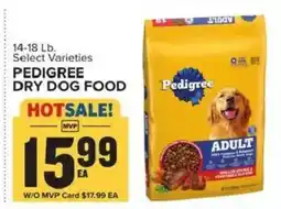 Food Lion Pedigree dry dog food offer