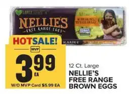 Food Lion Nellie's Free Range Brown Eggs offer