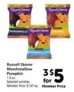 Safeway Russell Stover Marshmallow Pumpkin offer