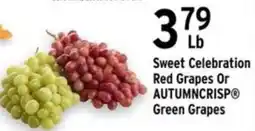 Brookshire's Autumn Crisp Green Grapes Or Sweet Celebration Red Grapes offer