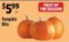 Pioneer Supermarkets Pumpkin Bins offer